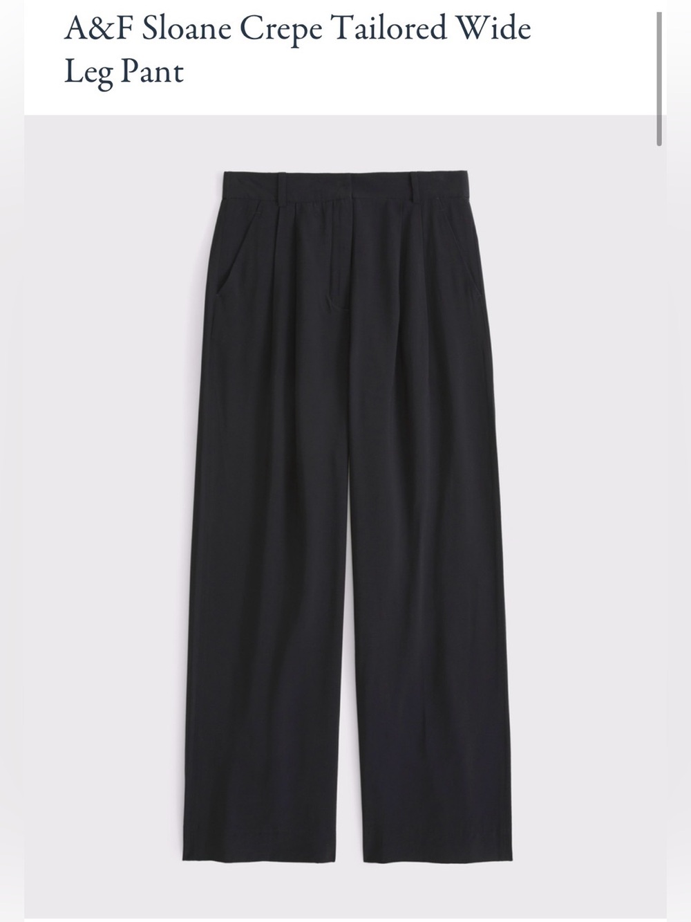 Abercrombie Sloan Tailored Crepe Wide leg Pants